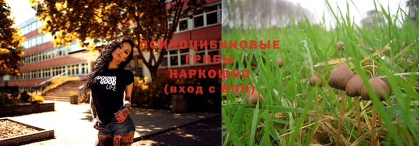 крисы Михайлов