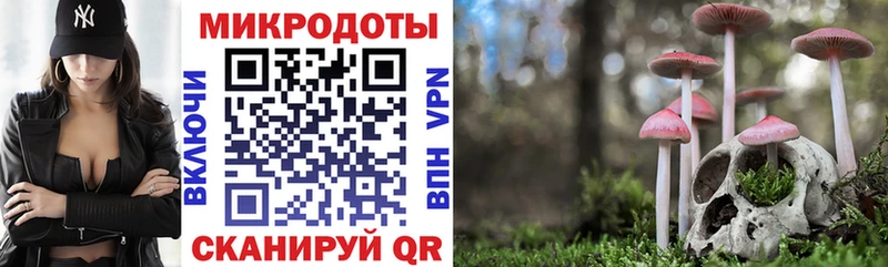 Псилоцибиновые грибы Psilocybine cubensis  где найти наркотики  Новопавловск 